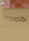 Web Design by MeeshDesigns.com